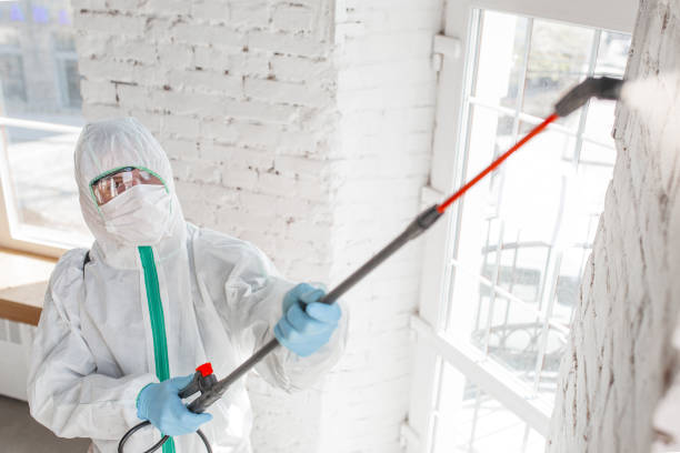Best HVAC Mold Inspection and Cleaning  in Metzger, OR
