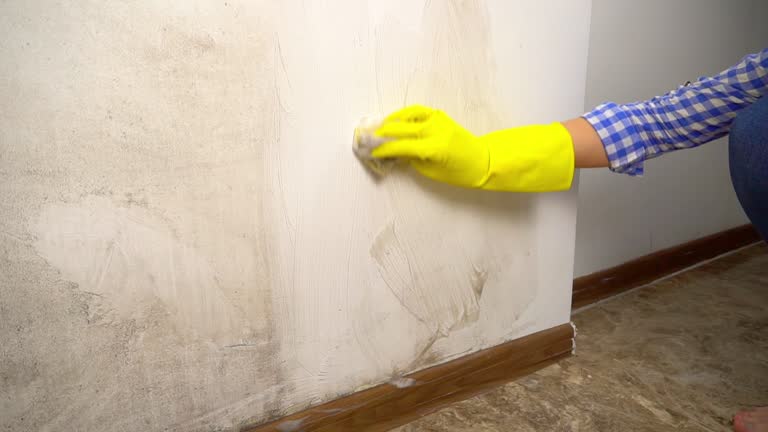 Best Commercial Mold Inspection  in Metzger, OR