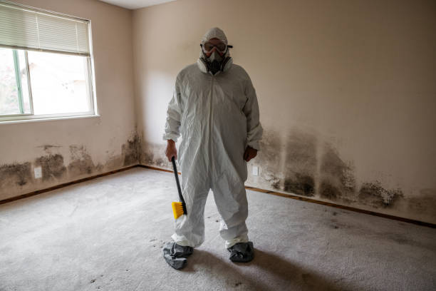 Best Mold Damage Restoration  in Metzger, OR