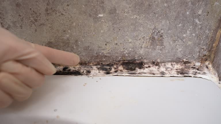 Best Airborne Mold Testing  in Metzger, OR
