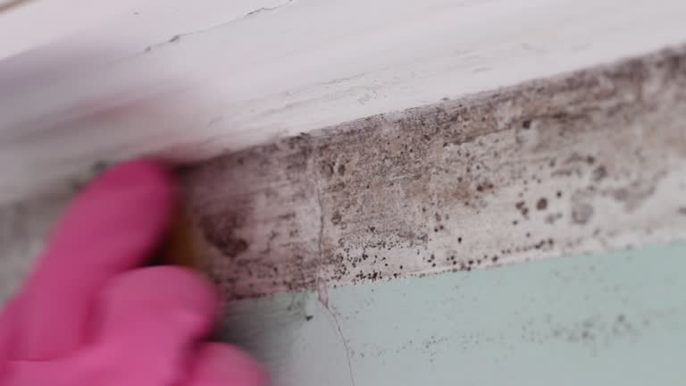 Best Mold Remediation for Healthcare Facilities  in Metzger, OR